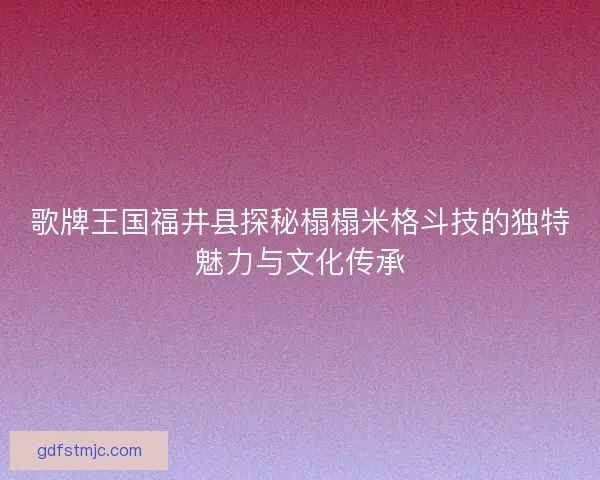 歌牌王国福井县探秘榻榻米格斗技的独特魅力与文化传承