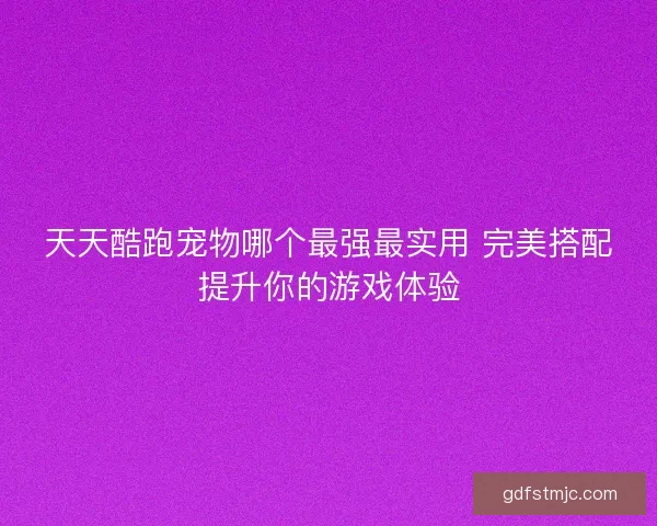 天天酷跑宠物哪个最强最实用 完美搭配提升你的游戏体验