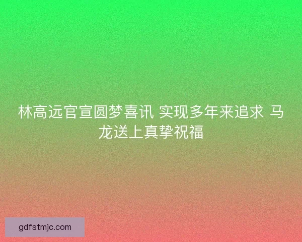 林高远官宣圆梦喜讯 实现多年来追求 马龙送上真挚祝福