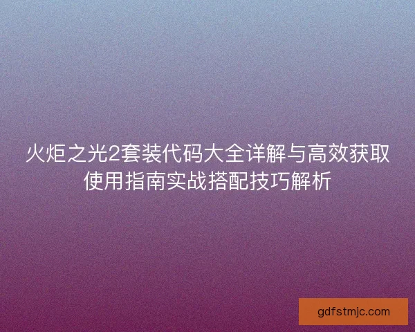 火炬之光2套装代码大全详解与高效获取使用指南实战搭配技巧解析